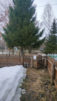 Продам дом, Центральная ул, 209, Пехлец с, 0 км от города