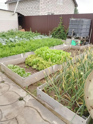 Продам дом, Васильково 3 СХ2 тер, Масново-Жуково д, 0 км от города