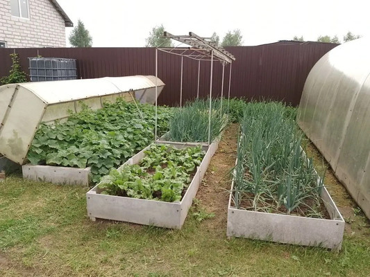 Продам дом, Васильково 3 СХ2 тер, Масново-Жуково д, 0 км от города