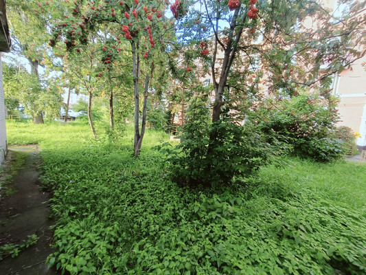 Продам землю для коммерческого использования 6,74 соток, Садоводство, Новая ул, Октябрьский рп