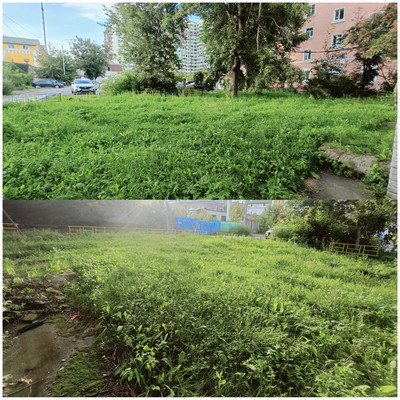 Продам землю для коммерческого использования 6,74 соток, Садоводство, Новая ул, Октябрьский рп