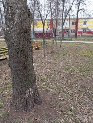 Продам землю для коммерческого использования 6,74 соток, Садоводство, Новая ул, Октябрьский рп