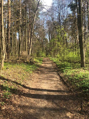 Продам землю для коммерческого использования 6,74 соток, Садоводство, Новая ул, Октябрьский рп