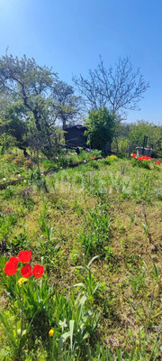 Продам дом, Мира ул, Новодмитриевская ст-ца, 0 км от города