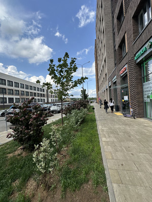 Сдам двухкомнатную (2-комн.) квартиру, Торговая ул, 6, Заречье рп