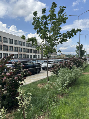 Сдам двухкомнатную (2-комн.) квартиру, Торговая ул, 6, Заречье рп