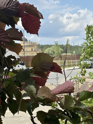 Сдам двухкомнатную (2-комн.) квартиру, Торговая ул, 6, Заречье рп