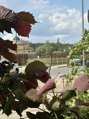 Сдам двухкомнатную (2-комн.) квартиру, Торговая ул, 6, Заречье рп