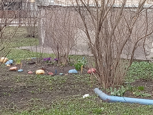 Продам однокомнатную (1-комн.) квартиру, Энтузиастов пр-кт, 45Ак2, Санкт-Петербург г