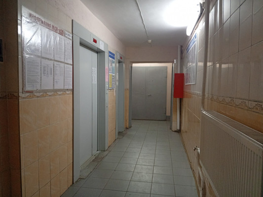 Продам однокомнатную (1-комн.) квартиру, Энтузиастов пр-кт, 45Ак2, Санкт-Петербург г