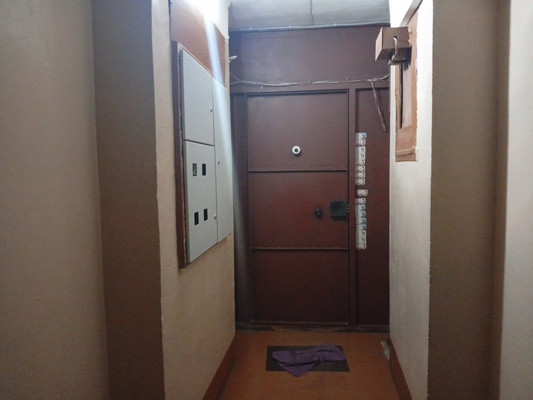 Продам однокомнатную (1-комн.) квартиру, Энтузиастов пр-кт, 45Ак2, Санкт-Петербург г