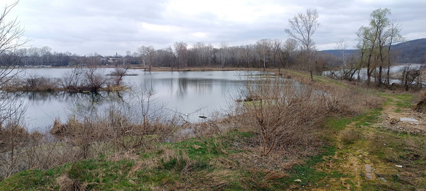 Продам участок 8,38 соток, Фермерское хоз., Набережная (Красноречье тер. СНТ) ул, Майкоп г, 0 км от города