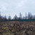 Продам участок 1 соток, ИЖС, Дьяково д, 0 км от города