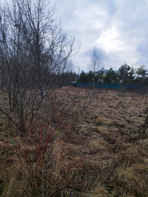 Продам участок 1 соток, ИЖС, Дьяково д, 0 км от города