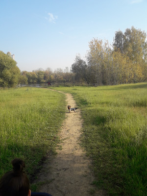 Продам участок 1 соток, ИЖС, Дьяково д, 0 км от города