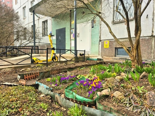 Сдам трехкомнатную (3-комн.) квартиру, Шаврова ул, 7Ак1, Санкт-Петербург г