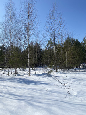 Продам участок 10 соток, ИЖС, Богатая ул, Большие Кургузи с, 0 км от города