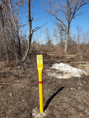 Продам дачу, Мирная ул, Липецк г, 0 км от города