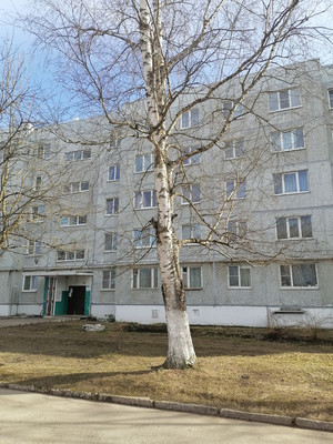 Продам однокомнатную (1-комн.) квартиру, Новая ул, 13, Божонка д