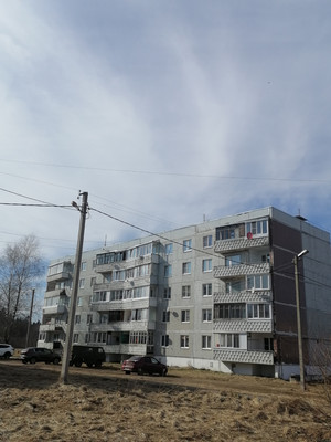 Продам однокомнатную (1-комн.) квартиру, Новая ул, 13, Божонка д