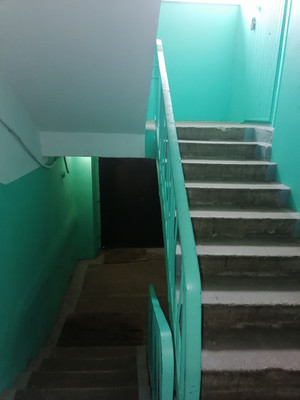 Продам однокомнатную (1-комн.) квартиру, Новая ул, 13, Божонка д