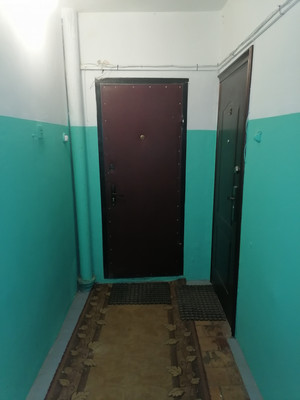 Продам однокомнатную (1-комн.) квартиру, Новая ул, 13, Божонка д