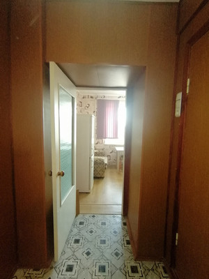 Продам однокомнатную (1-комн.) квартиру, Новая ул, 13, Божонка д