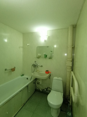 Продам однокомнатную (1-комн.) квартиру, Новая ул, 13, Божонка д