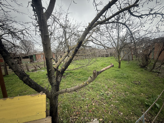 Продам дом, Почтовая ул, 133к1, Веселый п, 0 км от города