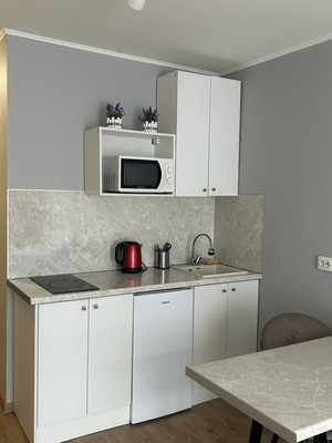 Сдам однокомнатную (1-комн.) квартиру, Толубеевский проезд, 8к2, Парголово п