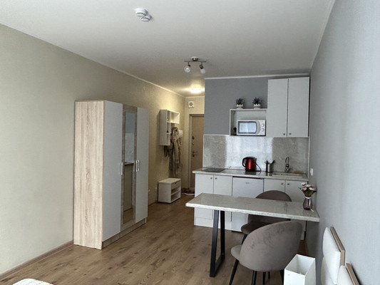 Сдам однокомнатную (1-комн.) квартиру, Толубеевский проезд, 8к2, Парголово п