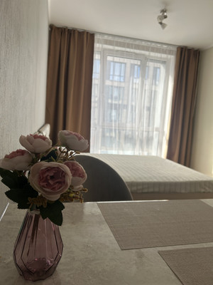 Сдам однокомнатную (1-комн.) квартиру, Толубеевский проезд, 8к2, Парголово п