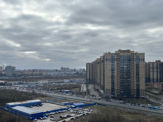 Сдам однокомнатную (1-комн.) квартиру, Толубеевский проезд, 8к2, Парголово п