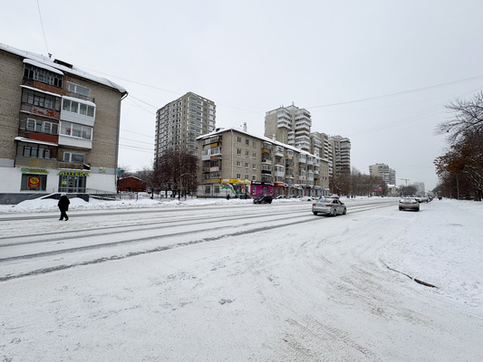 Продам трехкомнатную (3-комн.) квартиру, Победы ул, 30, Екатеринбург г