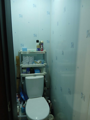 Продам трехкомнатную (3-комн.) квартиру, Лушникова ул, 4, Казань г