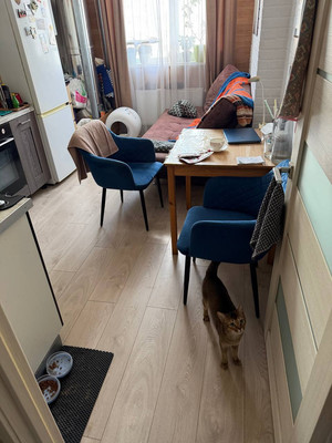 Сдам однокомнатную (1-комн.) квартиру, Батурина ул, 203, Симферополь г