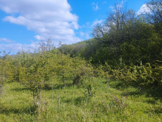 Продам землю для коммерческого использования 2,6 соток, Фермерское хоз., Синапное с