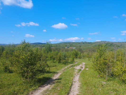 Продам землю для коммерческого использования 2,6 соток, Фермерское хоз., Синапное с