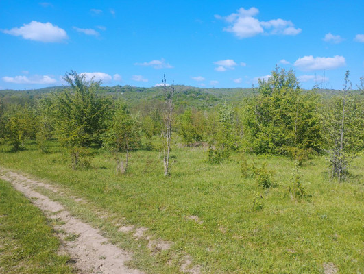 Продам землю для коммерческого использования 2,6 соток, Фермерское хоз., Синапное с