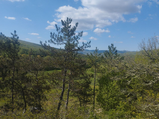 Продам землю для коммерческого использования 2,6 соток, Фермерское хоз., Синапное с