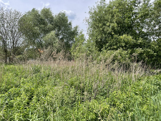 Продам участок 7,85 соток, ИЖС, Гостица (Гостица мкр.) ул, 98, Раменское г, 0 км от города