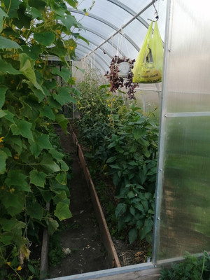 Продам дом, Лепилова ул, 14, Иваново г, 0 км от города