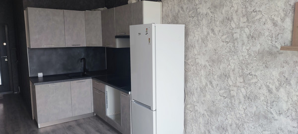 Продам однокомнатную (1-комн.) квартиру, им. Шевкунова ул, 19, Российский п