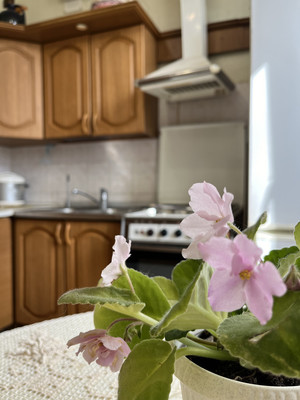 Продам трехкомнатную (3-комн.) квартиру, Урицкого ул, 44А, Пенза г