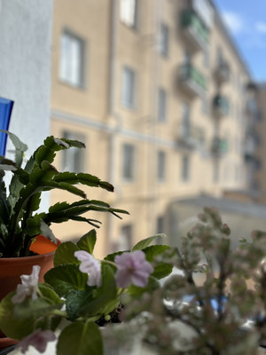 Продам трехкомнатную (3-комн.) квартиру, Урицкого ул, 44А, Пенза г