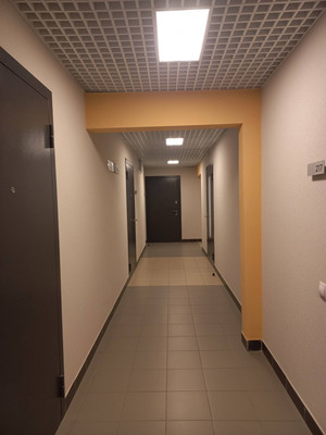 Сдам однокомнатную (1-комн.) квартиру, Муринская дор, 12к2, Санкт-Петербург г