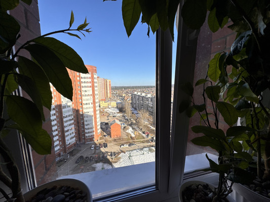 Продам однокомнатную (1-комн.) квартиру, Холмогорская ул, 4кБ, Пермь г