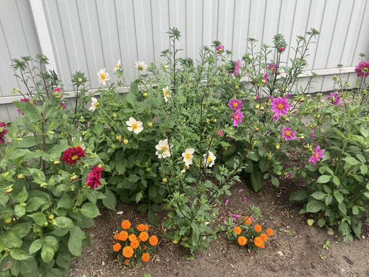 Продам , Октябрьская ул, Клишева д, 0 км от города