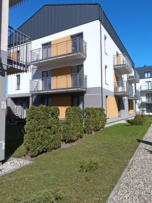 Продам однокомнатную (1-комн.) квартиру (долевое), Васильковая ул, 13, Малое Васильково п