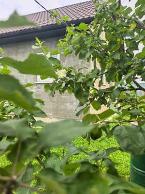 Продам дом, СНТ Соснинские дачи тер, 0 км от города